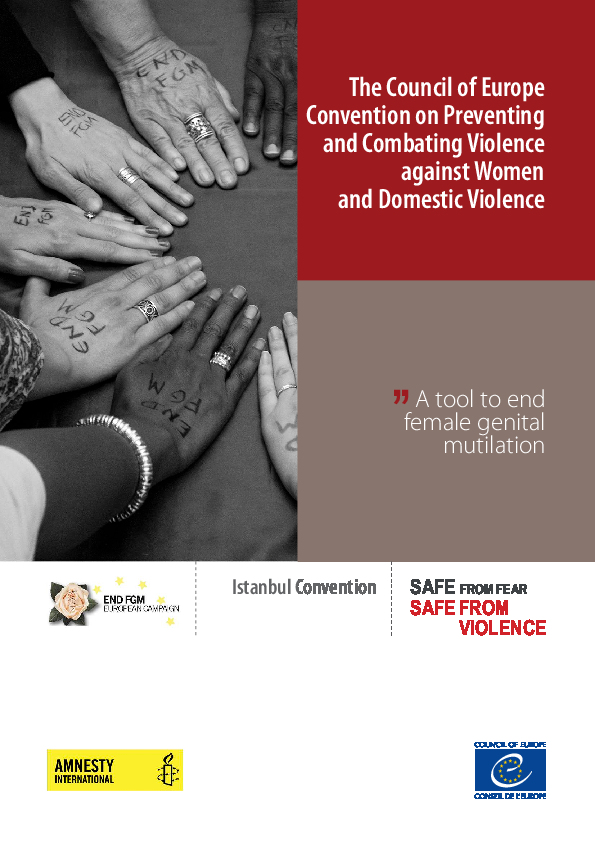 The Council of Europe Convention on Preventing and Combating Violence against Women and Domestic Violence